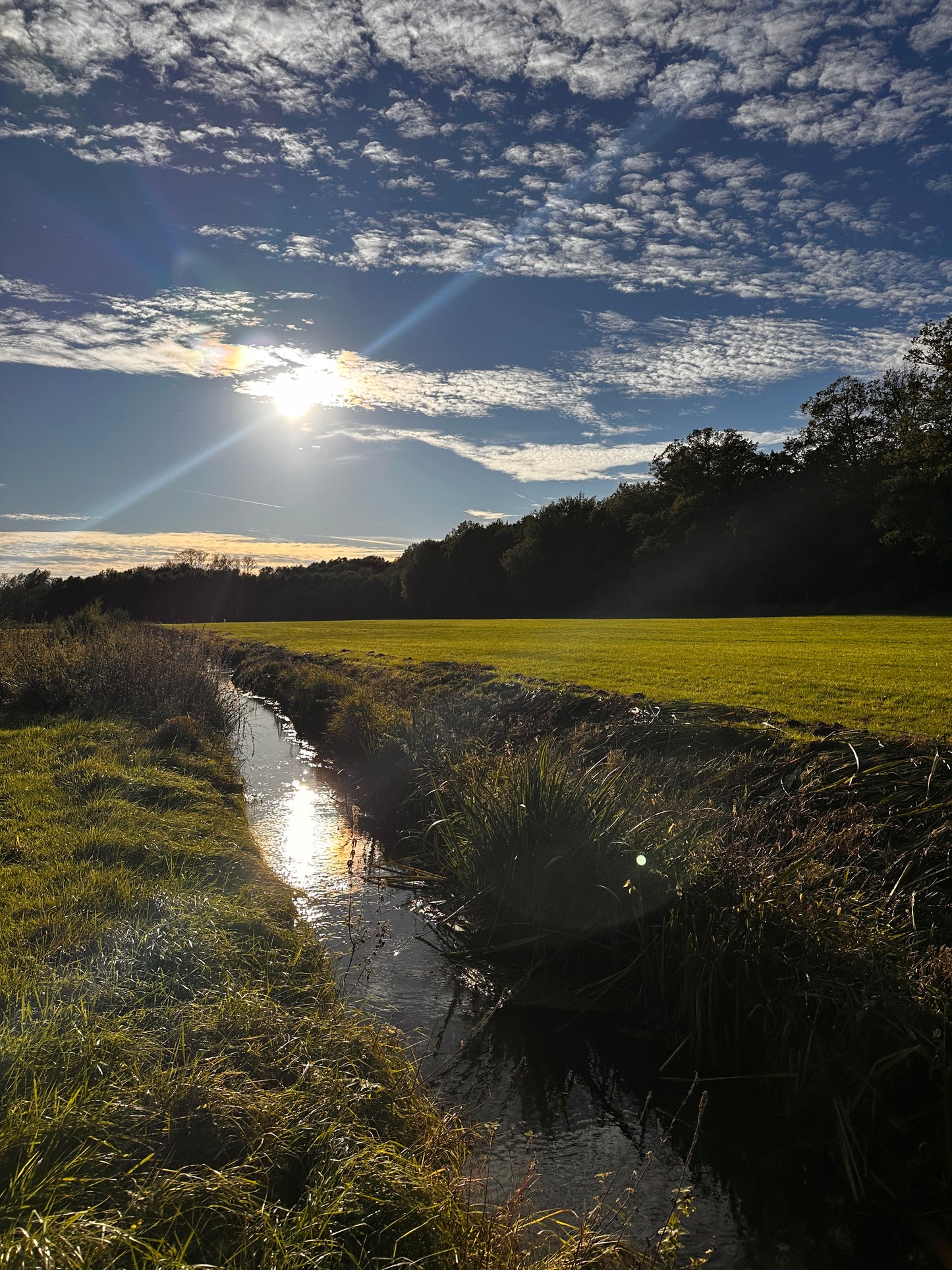 Hohenmoorer Handelskontor Gutschein